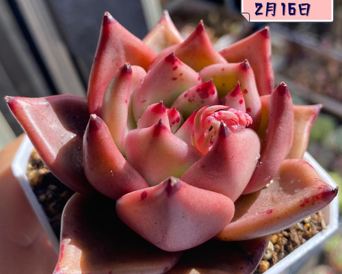 54e54f8666e9e0688c0bd127674b66