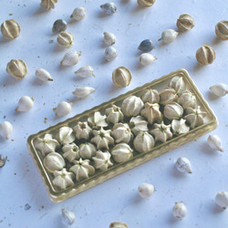 白い自然素材　センダンの実の種＋白いジュズダマ 1枚目の画像
