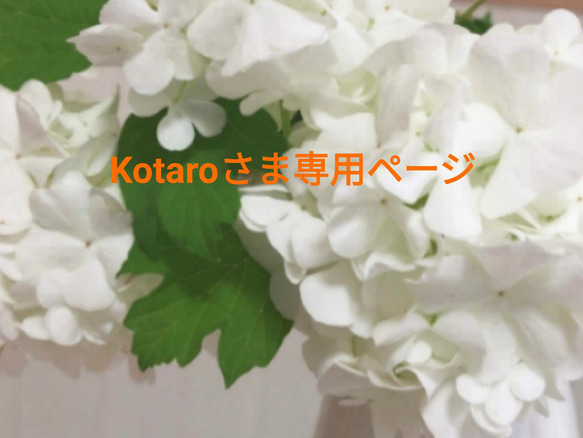 Kotaroさま専用ページ✨ 1枚目の画像