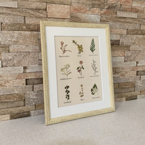 押し花の植物標本【アイボリー】大 その他アート shanti 通販