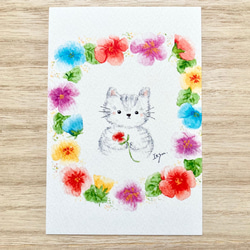 日向ぼっこ　水彩画　「猫と花」　原画　イラスト 縁側で日向ぼっこする猫と植物の夏の水彩イラストのイラスト素材