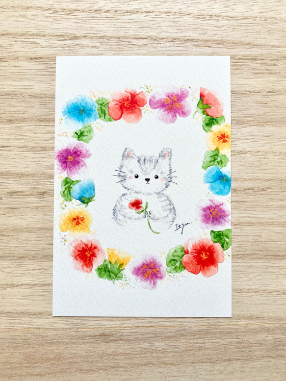 marin☆、短毛シュシュ(水彩画風ローズ)わんちゃん猫ちゃん用 透明水彩画「パンジーと猫ちゃん」3枚セット イラスト ポストカード