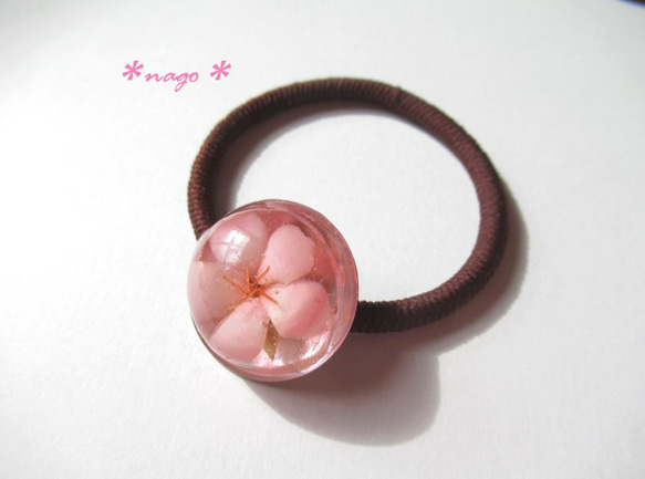 桜ゼリー風＊早咲き桜の押し花レジンヘアゴム ヘアゴム 押し花雑貨