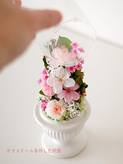 Myheritagedubai - 【仏花】再販17＊桜を使ったガラスドーム供花【供花  