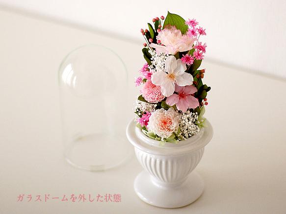 【仏花】再販12＊桜を使ったガラスドーム供花【供花】 4枚目の画像