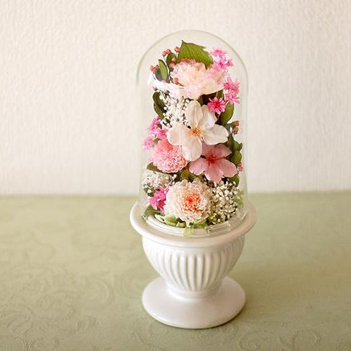 仏花】再販24＊桜を使ったガラスドーム供花【供花】 プリザーブド