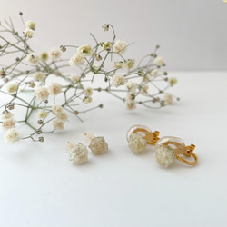 カスミソウ　クリップイヤリング　✳︎生花のアクセサリー 1枚目の画像