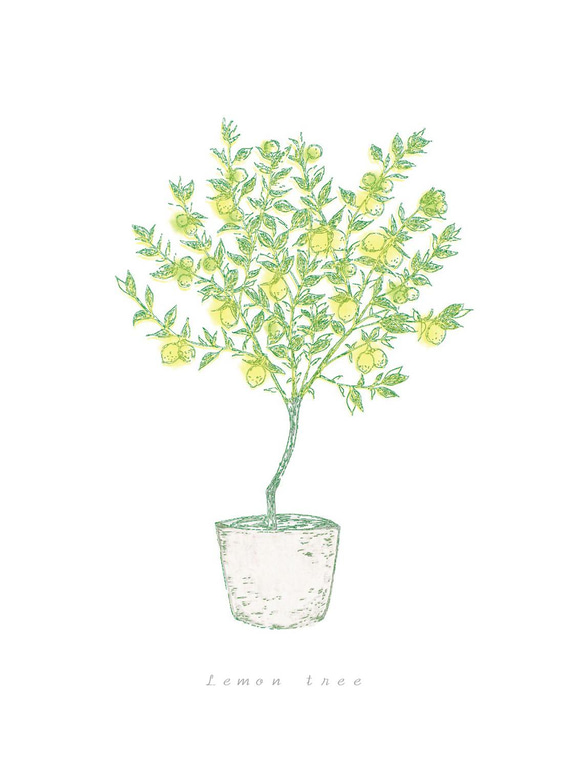 レモンの木✴︎ インテリアポスター◻︎ 3枚目の画像