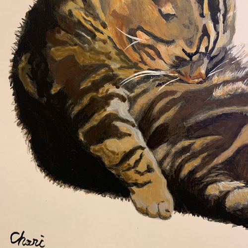 絵画 猫 A4 アクリル画 原画 手書き アメリカンショートヘア