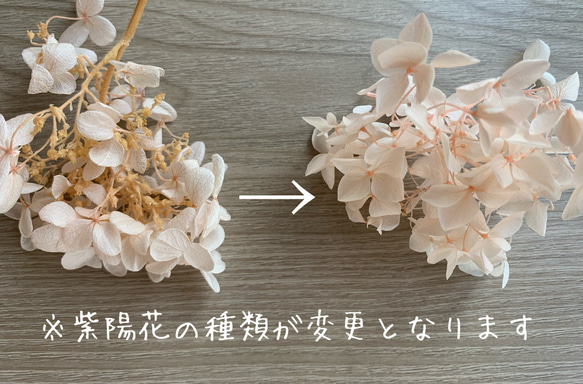 【くすみピンク×紫陽花(L)】ドライフラワー ピアス・イヤリング ウェディング ブライダル 4枚目の画像