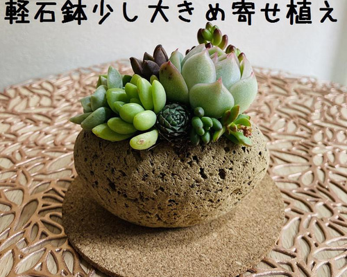 aa3038a2a64cf3359f9a9cd698d65a