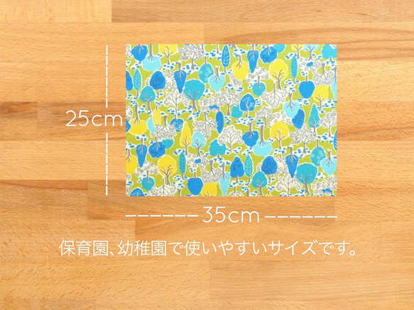 ランチマット２枚《お好きな柄が選べる》25cm×35cm 14枚目の画像