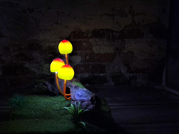 枯木蘑菇燈 仿真蘑菇燈 蘑菇小夜燈 情境燈 療癒蘑菇燈 蕈菇燈 造型燈 創意夜燈 可愛夜燈 手作燈飾 燈飾禮品 第10張的照片