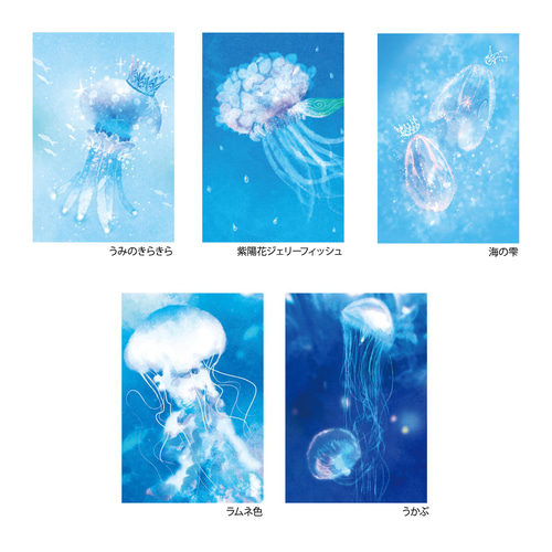 クラゲポストカードセット［Jellyfish Collection 2］5枚入り ポスト
