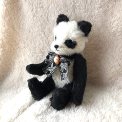 panda 猫熊 4枚目の画像