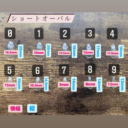 デザインNo18＊ぷっくりネイル　個性派　韓国　シンプル　ネイルチップ 6枚目の画像