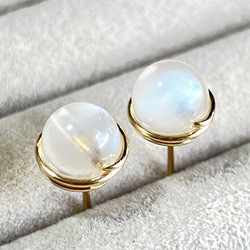 オパライズドウッド ペトリファイドウッド ピアス 希少 14kgf ピアス