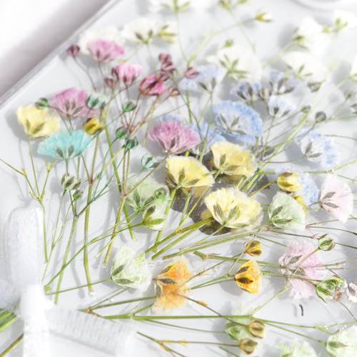 カラフルかすみ草のブーケ 押し花スマホケース iPhone15Android Galaxy