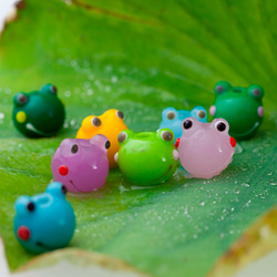 咲カエル〜目の前が『ぱっと花咲くように開きますように』 5枚目の画像