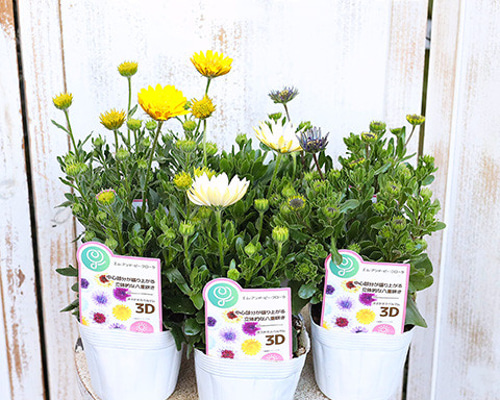 f3a3e081b7065f4ae4eaaddd8c94d5