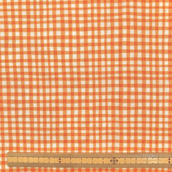 [最後一件] 35cm 剪裁美國棉 michael miller Michael Miller GINGHAM PLAY 第3張的照片