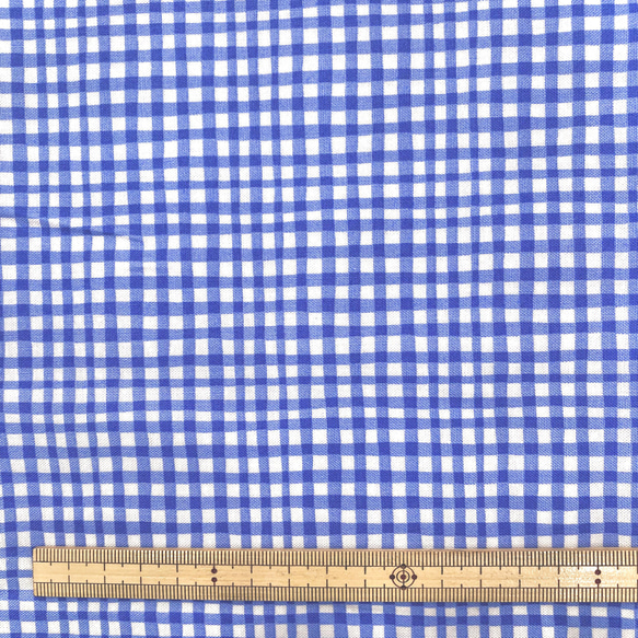 【ラスト1枚】35cmカット　USAコットン　michael miller　マイケルミラー　GINGHAM PLAY 4枚目の画像