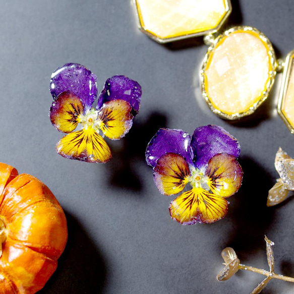 春　ビオラ ピアス　⁂　ドライフラワー 春ビオラ ピアス⁂ドライフラワー