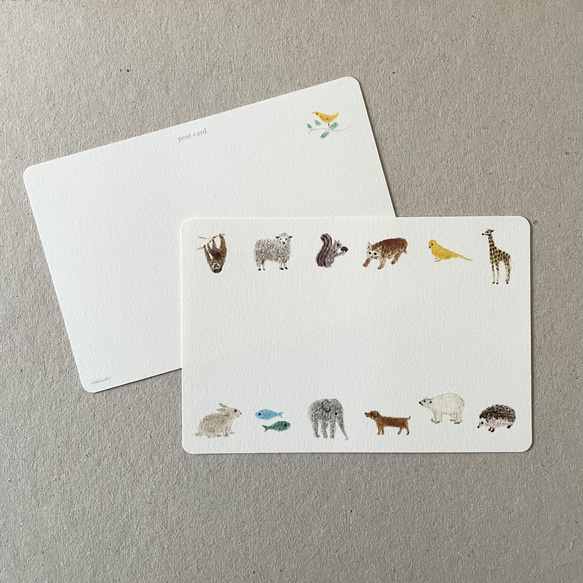 動物のポストカード 5枚組 2枚目の画像