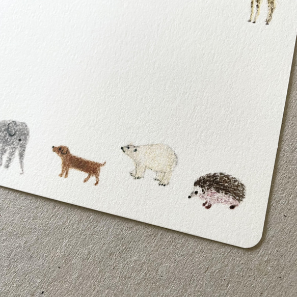 動物のポストカード 5枚組 7枚目の画像
