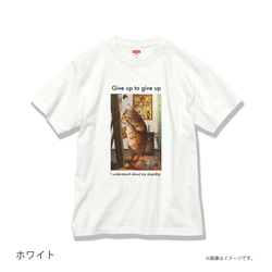 「トラになりたいネコ」安心のクオリティ/定番コットンTシャツ/送料無料 4枚目の画像