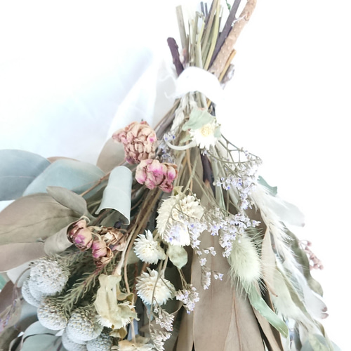 新芽の美しいユーカリ香るプロテアのコロンとしたナチュラルスワッグ