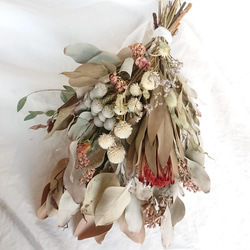 プロテアニオベのシンプルスワッグ Protea Niobe & Eucalyptus Swag (プロテア・ニオべとユーカリの