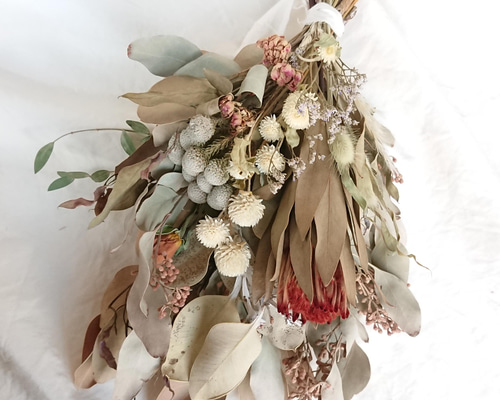 プロテアニオベのシンプルスワッグ Protea Niobe & Eucalyptus Swag (プロテア・ニオべとユーカリの