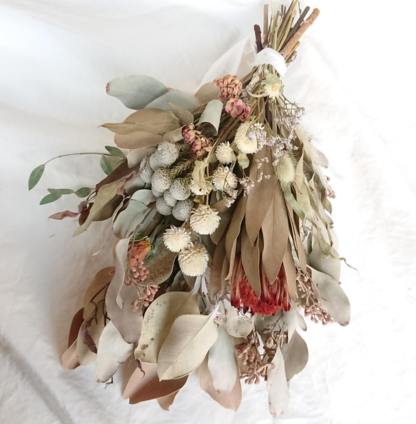 プロテアとユーカリのホワイトアンティークスワッグ ドライフラワー