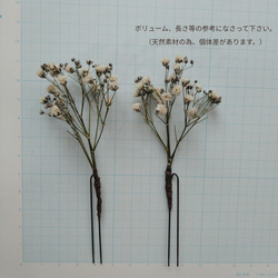 『ゆっくり発送』お花好きさんのヘッドドレス　かすみ草ドライフラワーヘッドパーツ　ドライアップして直ぐ！ 6枚目の画像