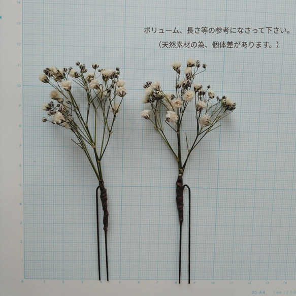 『ゆっくり発送』お花好きさんのヘッドドレス　かすみ草ドライフラワーヘッドパーツ　ドライアップして直ぐ！ 6枚目の画像