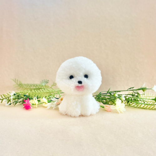 ビションカットのポンポン 中（おすわり舌あり） ビションフリーゼ