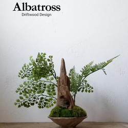 37c88a5bcd2db24a7d75d0bc51e2f3