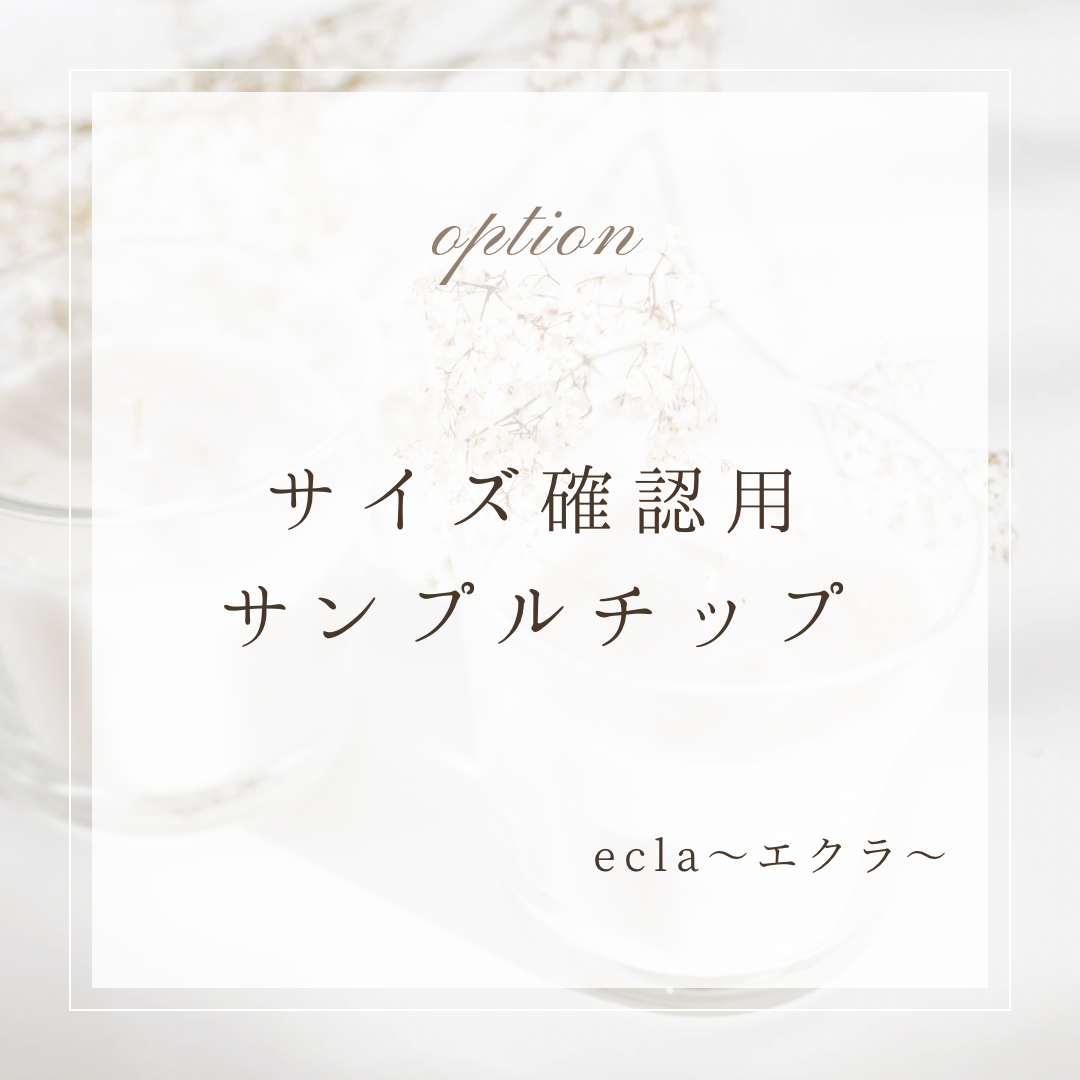 サイズ確認用ネイルチップ ネイルチップ（つけ爪） nail salon ecla