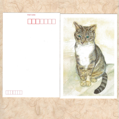 階段の縞猫 絵葉書4枚セット ポストカード 絵屋 翠晄 通販
