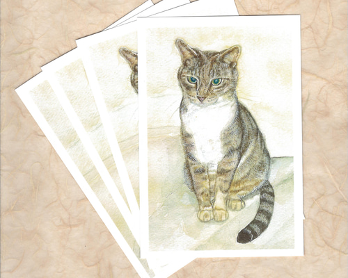 むかしのネコ看板 ポストカード 猫 レトロ 絵葉書 はがき