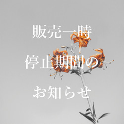 販売一時停止期間のお知らせ その他素材 turdus. 通販 13452573