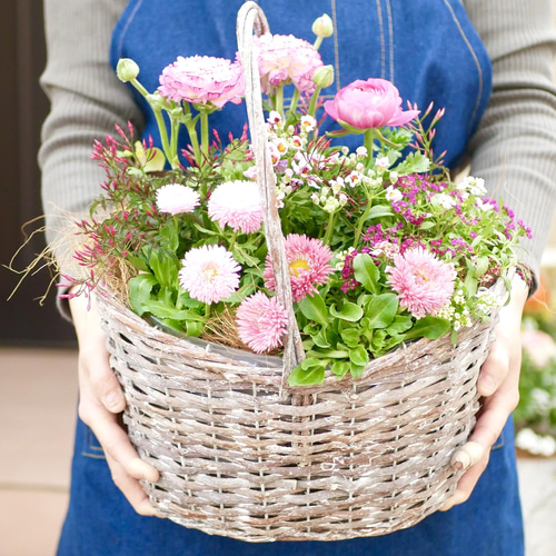 送料一律 大きなバスケット 飾るだけで 空間が華やかに 春の寄せ植え