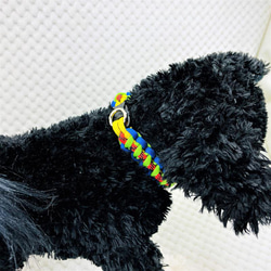 [キット]パラコードでマクラメ編み#155 平結びシリーズカラフル＆キュートNo2の小型犬用首輪No185 15枚目の画像