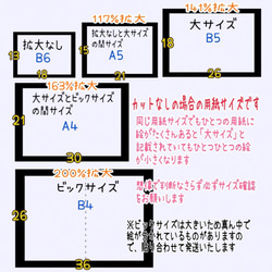  第11張的照片