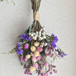 スターチスの春待ちピンク系ドライフラワースワッグ (M size) ドライ