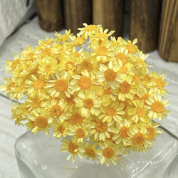 スターフラワーミニ『ひまわり風』30個 スターフラワーミニ『ひまわり風』30個 スターフラワー ミニ