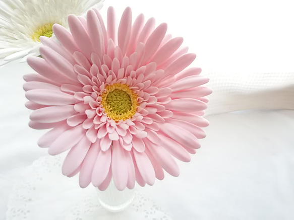 【訂做】❁乳白色和淡粉紅色黏土花非洲菊2件套，室內花，單花花瓶❁ 第6張的照片