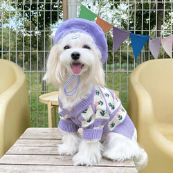 犬服 犬セーター 紫花咲セーター 花柄付き ペットセーター 防寒 冬 秋 春 よそ行き ふわふわ 綺麗 かわいい 暖かい 1枚目の画像