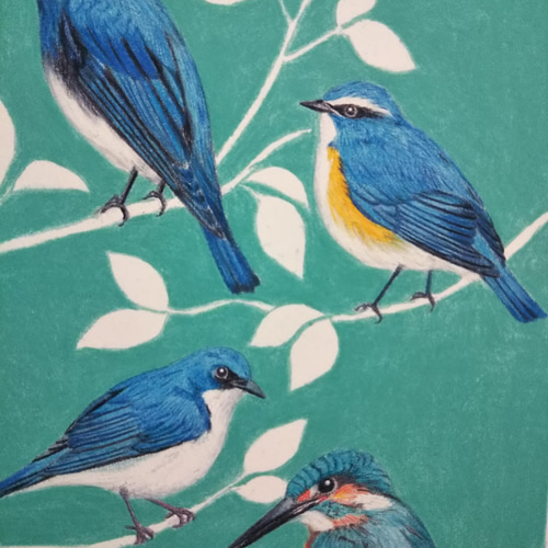 楽天市場】TOMO YAMASHITA DESIGN STUDIO. B3ポスター インコ党4 3枚セット 195A0316 BIRDMORE  バードモア CRAFT GARDEN 鳥用品 鳥グッズ 雑貨 鳥 とり プレゼント : 飼鳥用品専門店BIRDMORE楽天市場店